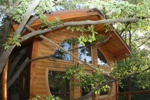 CABANE DANS LES ARBRES