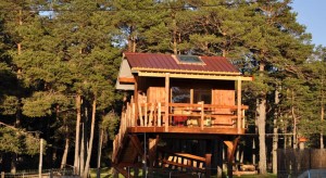 cabane dans les arbres