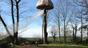 cabane dans les arbres