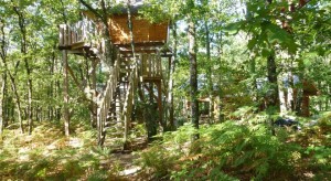 cabane dans les arbres