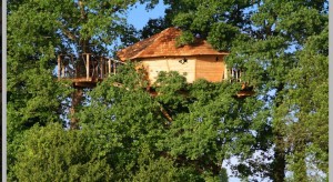 cabane dans les arbres