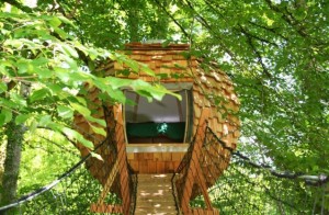 cabane dans les arbres