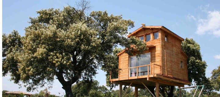 UNE CABANE DANS LES ARBRES