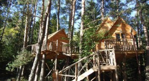 cabane dans les arbres