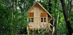 cabane dans les arbres