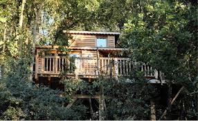 cabane dans les arbres