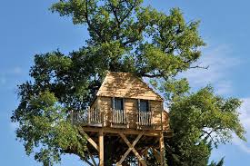 cabane dans les arbres